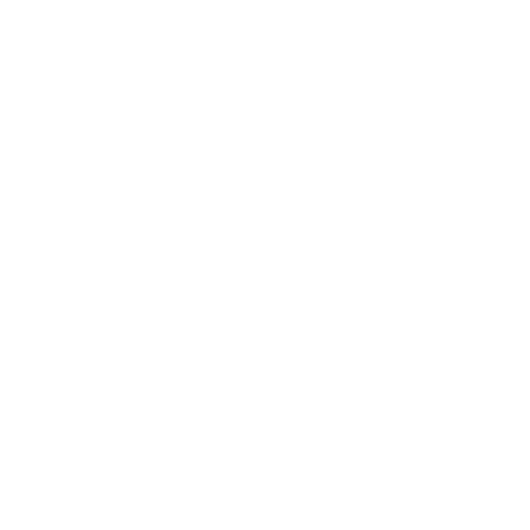 FLYT